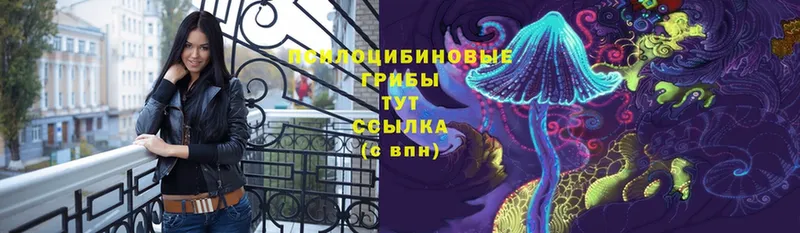 Галлюциногенные грибы Cubensis  Далматово 